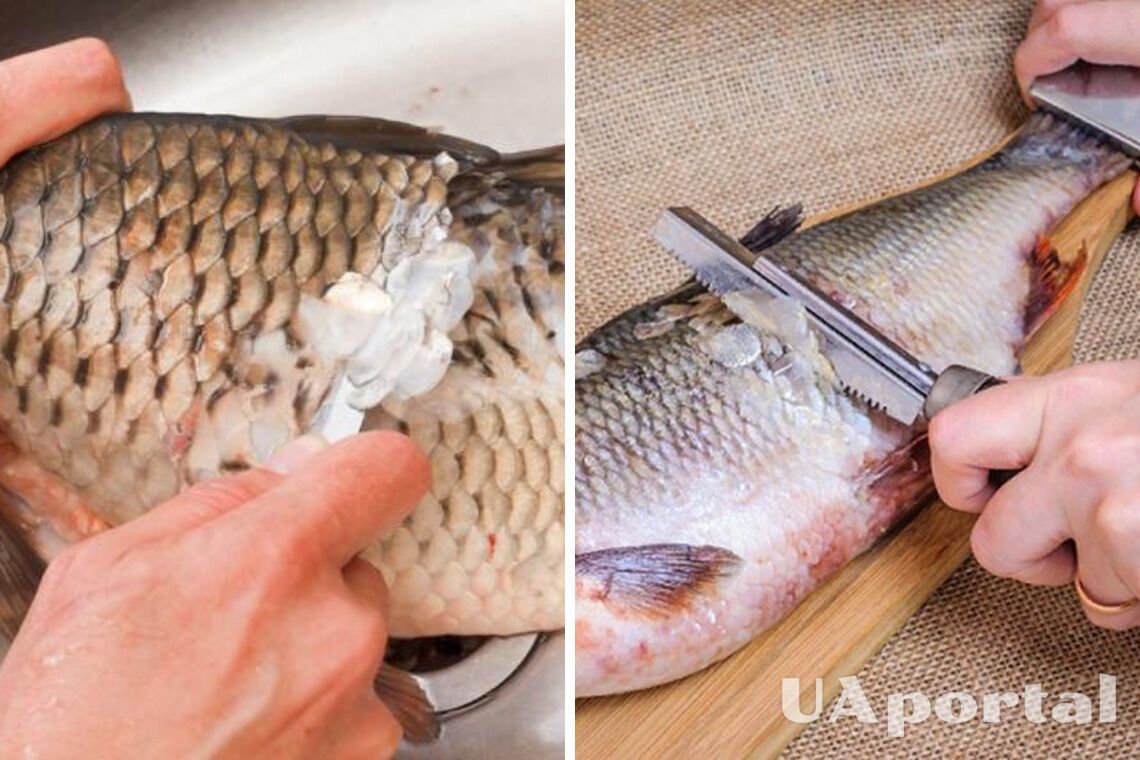 Як легко почистити рибу від луски