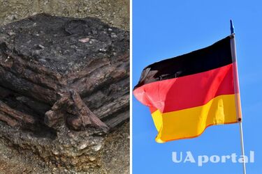 У Німеччині виявили колодязь віком понад 3000 років наповнений ритуальними жертвами (фото)