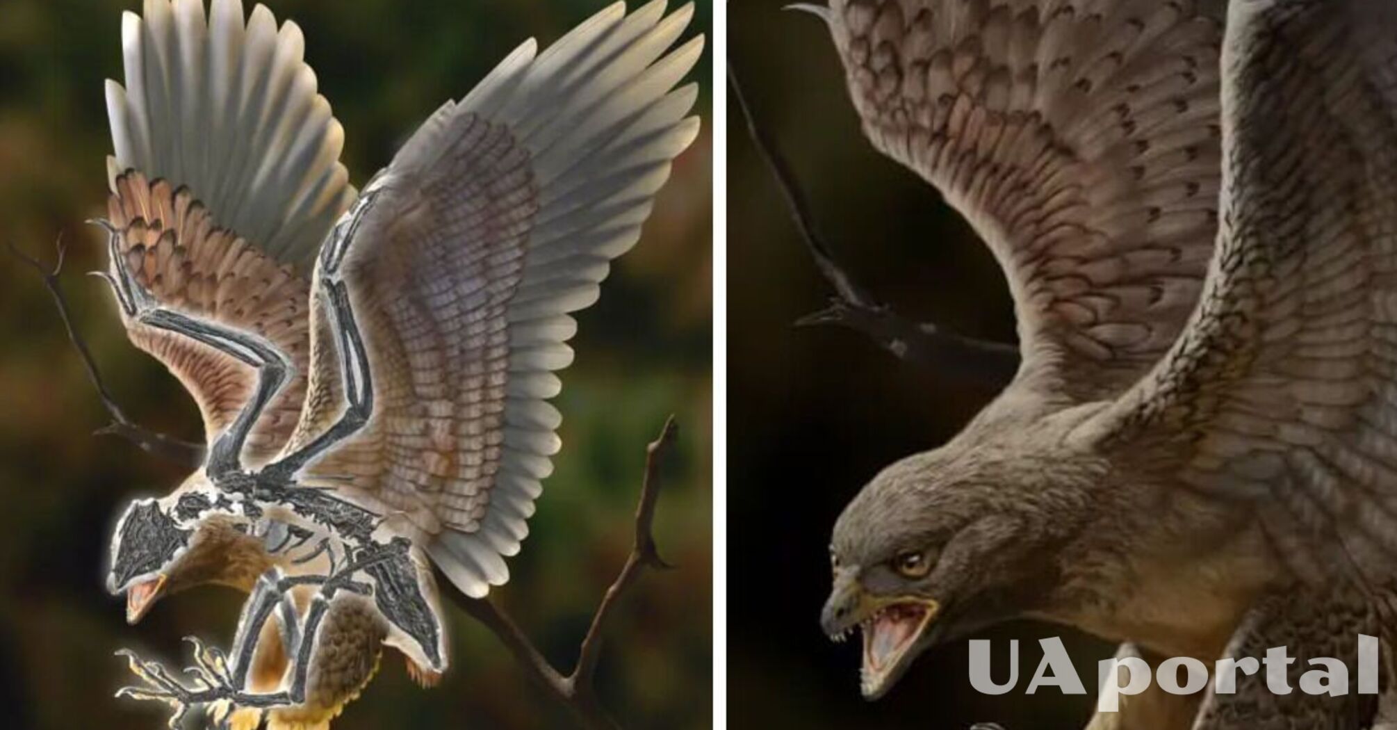 Археологи знайшли скамʼянілий скелет птаха з головою динозавра