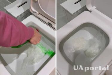 Як прочистити забитий унітаз