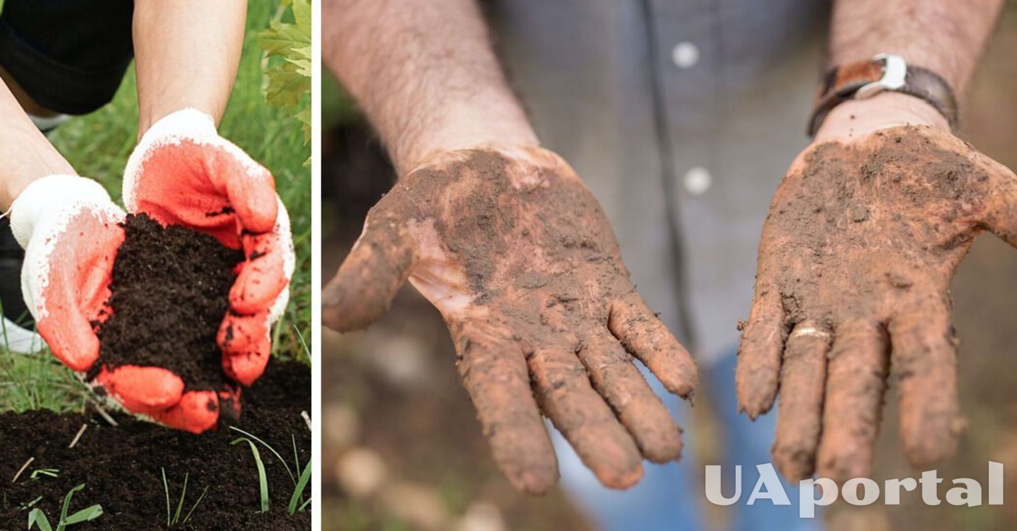 Можна підхопити смертельну хворобу: чому роботи в саду не варто проводити без рукавичок