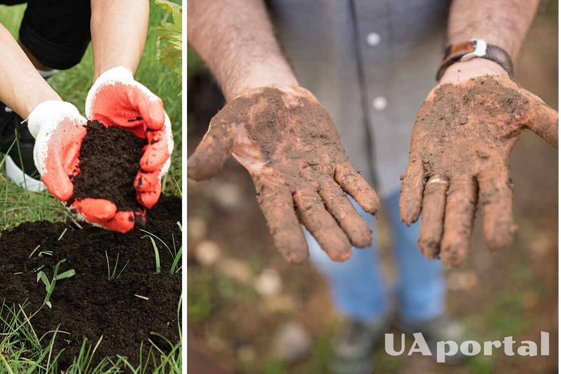 Можно подхватить смертельную болезнь: почему работы в саду не следует проводить без перчаток