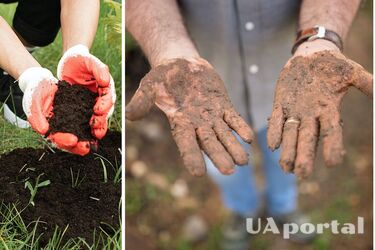 Можна підхопити смертельну хворобу: чому роботи в саду не варто проводити без рукавичок