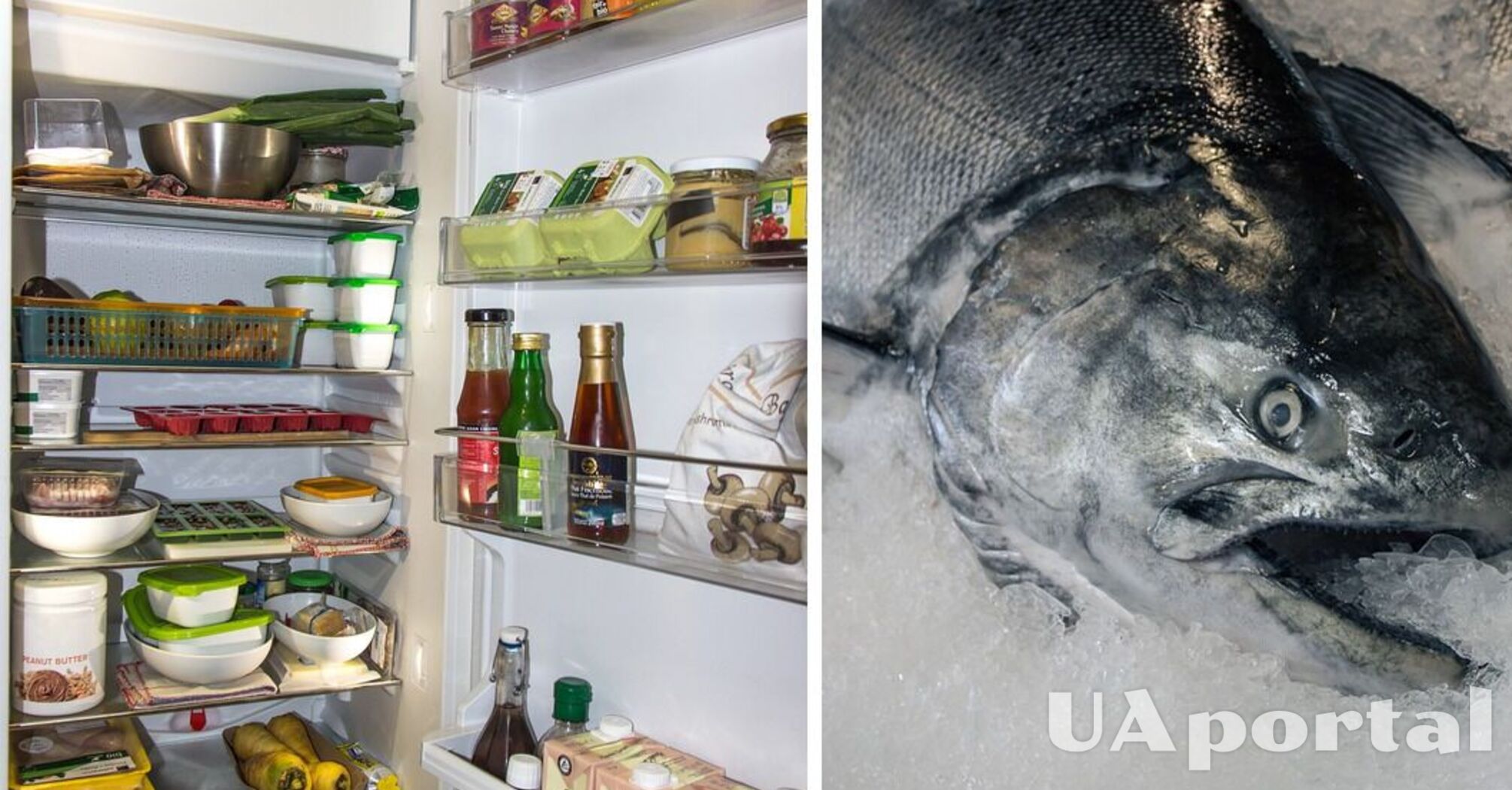 Где лучше хранить сырую рыбу: в холодильнике или морозилке