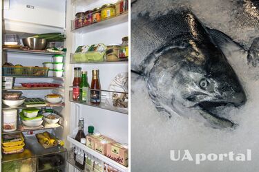 Где лучше хранить сырую рыбу: в холодильнике или морозилке