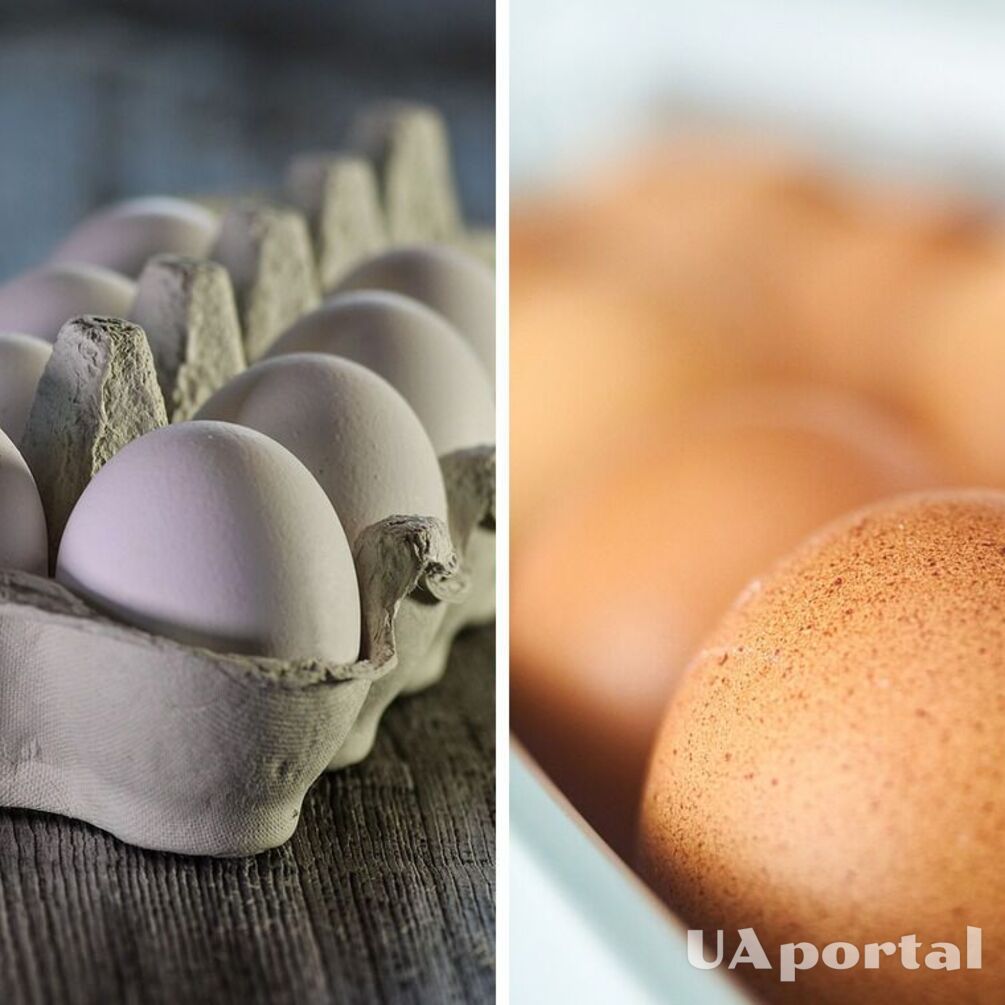 Експерти пояснили, як правильно тримати яйця у холодильнику, щоб вони довго не псувалися