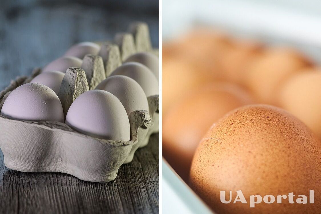 Эксперты объяснили, как правильно держать яйца в холодильнике, чтобы они долго не портились