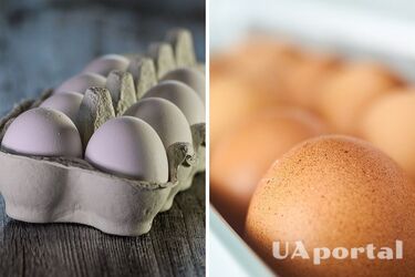 Эксперты объяснили, как правильно держать яйца в холодильнике, чтобы они долго не портились