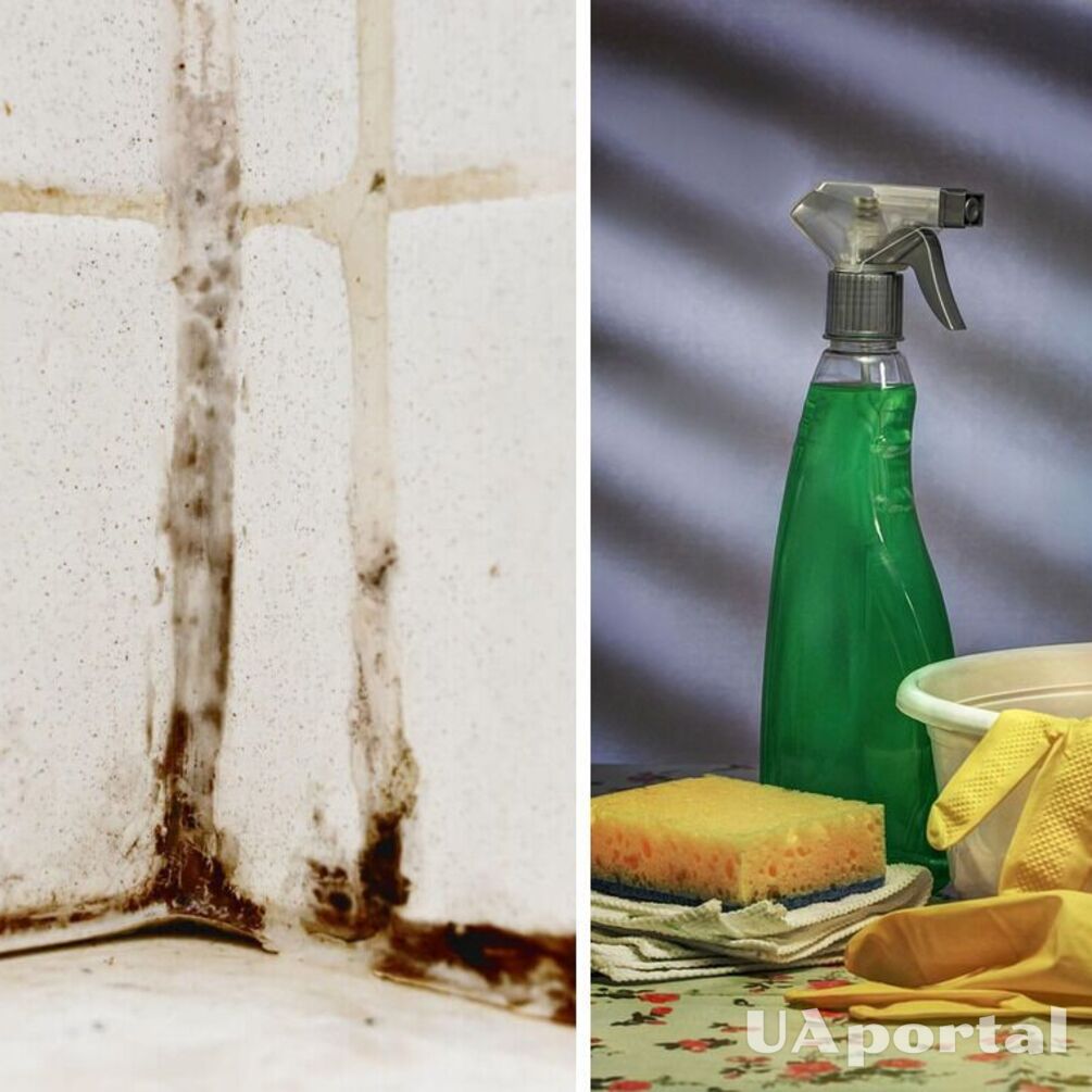 Уборщица поделилась, как дешево удалить плесень на герметике в ванной комнате