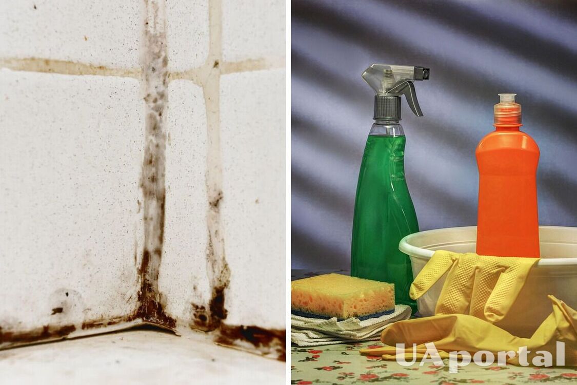 Уборщица поделилась, как дешево удалить плесень на герметике в ванной комнате
