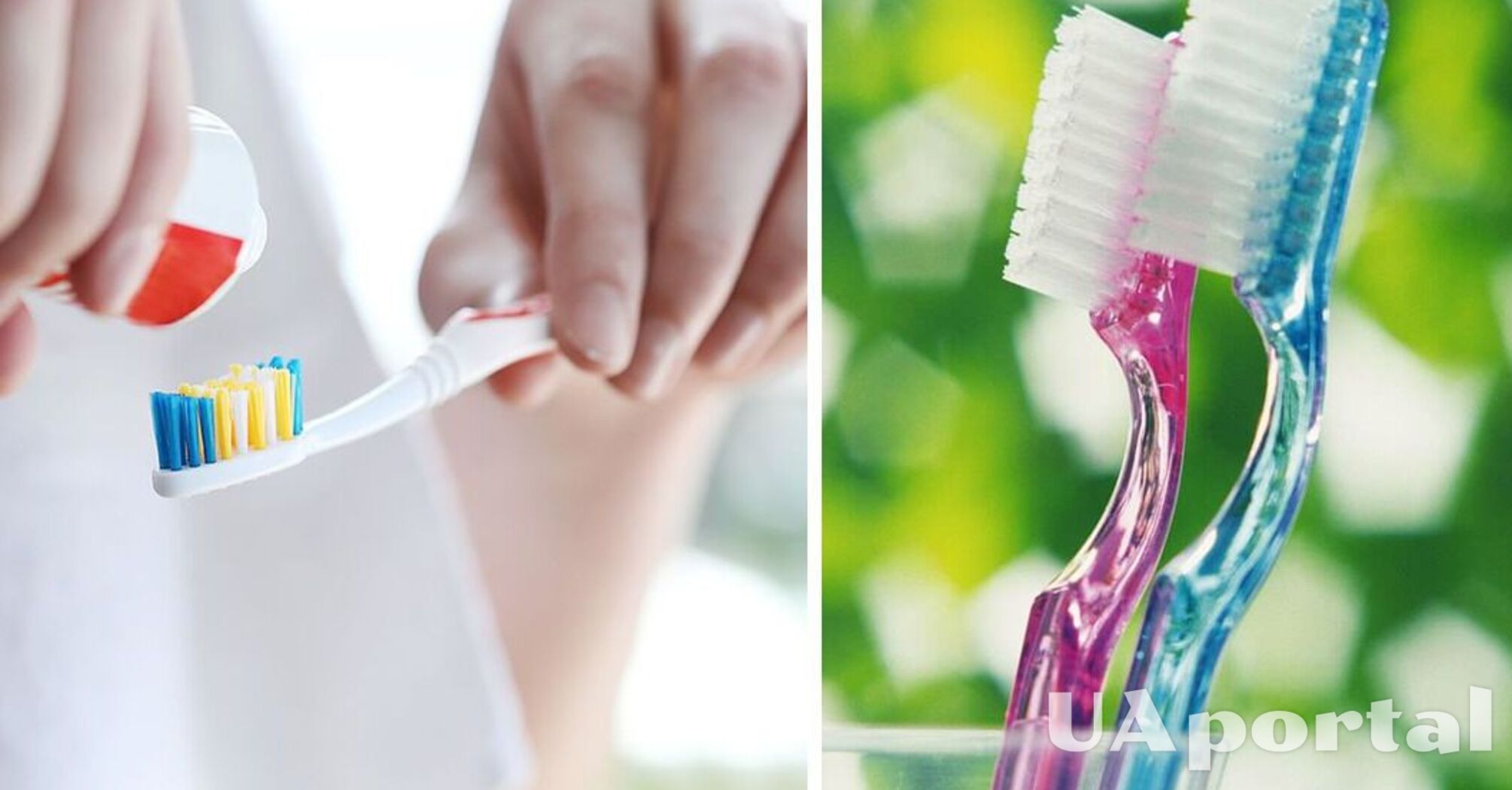 Стоматологи відповіли, чому краще не зберігати зубну щітку у ванній: ви будете здивовані 