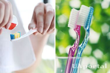 Стоматологи ответили, почему лучше не хранить зубную щетку в ванной: вы будете удивлены