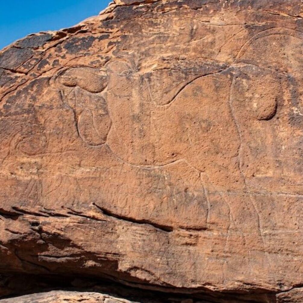 В Саудовской Аравии нашли уникальную резьбу на скалах: фото