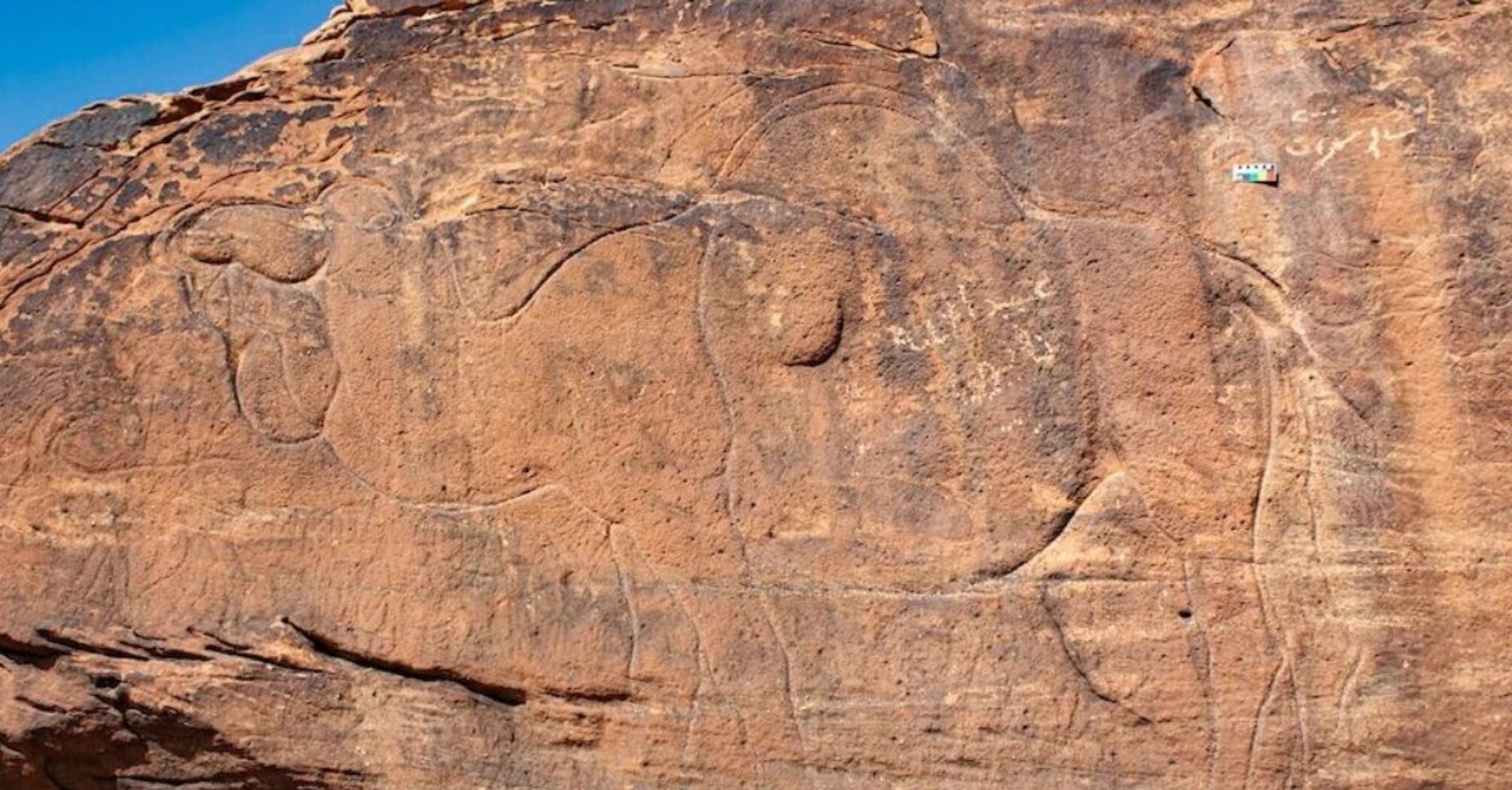 У Саудівській Аравії знайшли унікальні різьблення на скелях: фото
