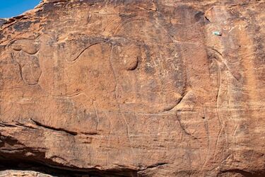 Unikalne rzeźby skalne znalezione w Arabii Saudyjskiej: zdjęcia