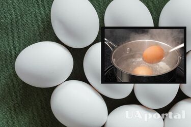 Ученые объяснили, почему плохие яйца плавают, а хорошие тонут
