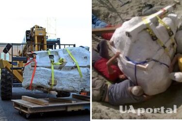 Archeolodzy znajdują 2,5-tonową czaszkę T-Rexa, który żył 66 milionów lat temu w USA