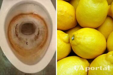 Забудьте о соде с уксусом: натуральное средство быстро удалит налет на унитазе