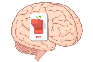 Тренируем тело и стимулируем мозг