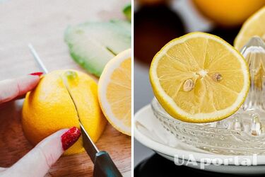 Как хранить лимон в холодильнике, чтобы он долго не портился