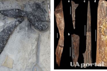 Archaeologists find 476,000-year-old wooden structure in Africa: the oldest wooden structure in the world