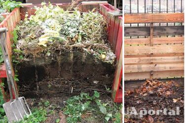 Czego nie wrzucać do kompostu, aby nie uszkodzić nawozu