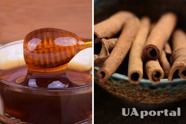 Чому восени та взимку варто регулярно вживати мед з корицею: ви будете здивовані