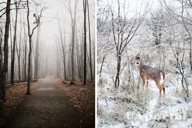 Ожидается существенное похолодание: синоптики сказали, когда в Украине выпадет снег