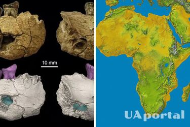 Древние виды человека заселили африканское нагорье 2 миллиона лет назад – ученые