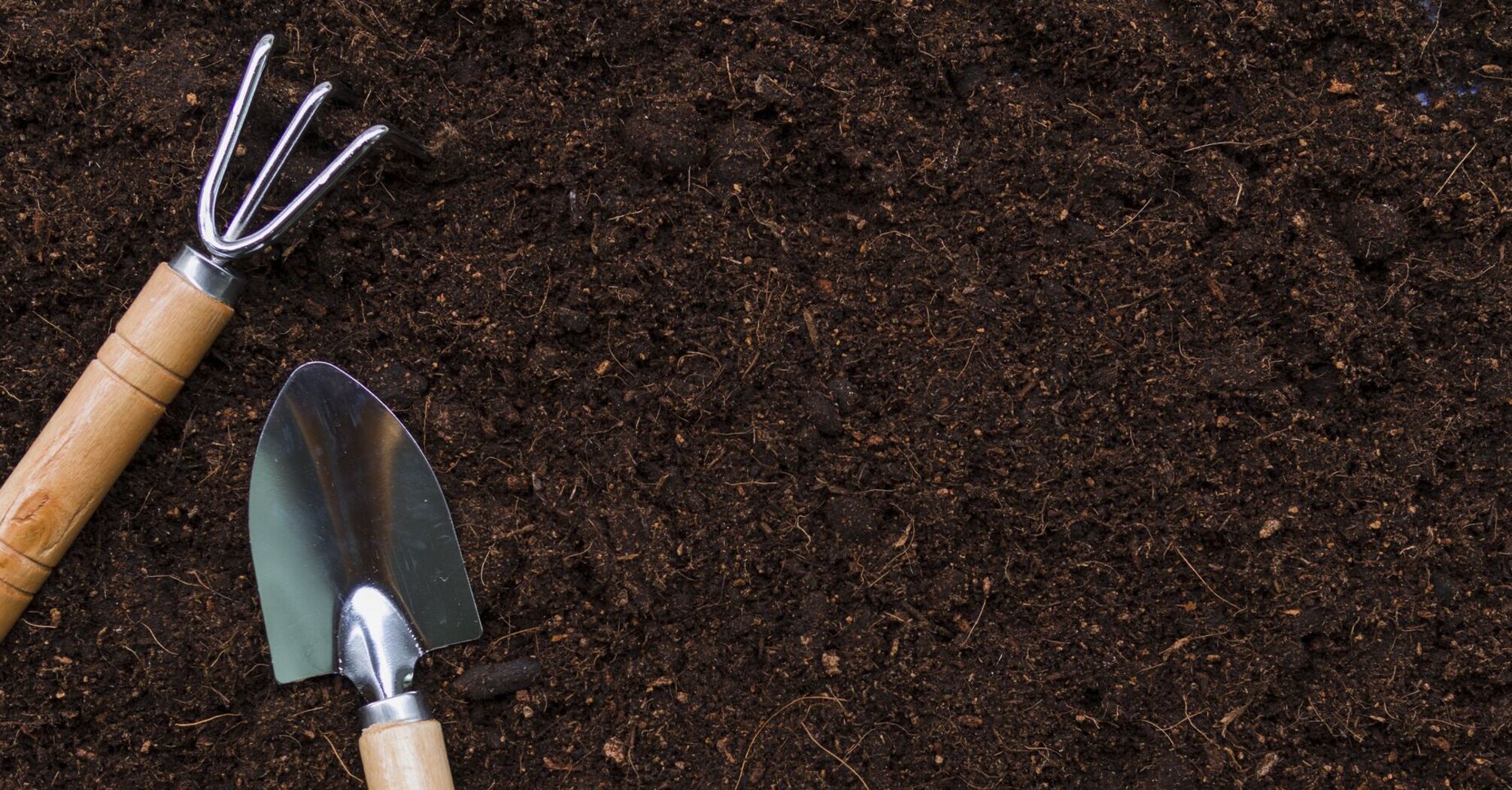 Какие культуры можно сажать осенью