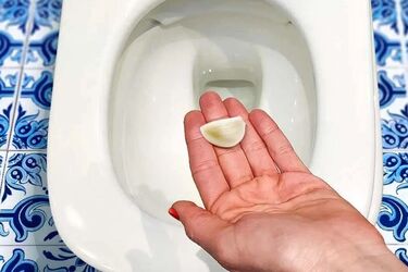 Для чого в унітаз на ніч класти зубчики часнику (відео)