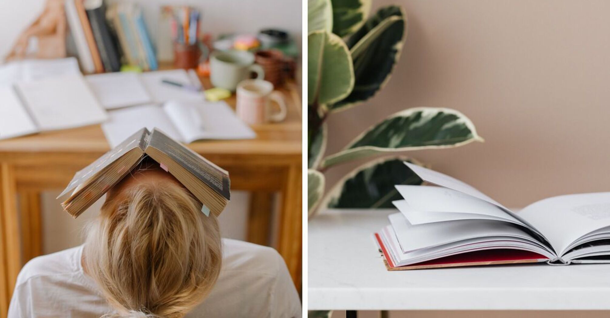 How to effectively improve your memory: the best methods Society UAportal