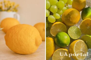Що зробити, щоб лимони довго не пліснявіли - як правильно зберігати лимони