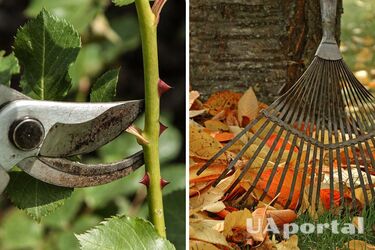 Эксперты объяснили, как подготовить сад к зиме после теплого сентября