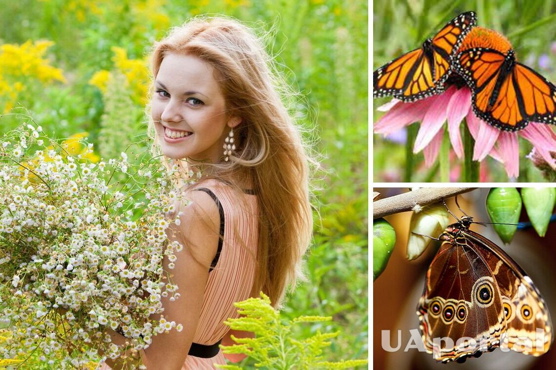 Женский психологический тест: выберите бабочку на картинке – и узнайте о себе больше