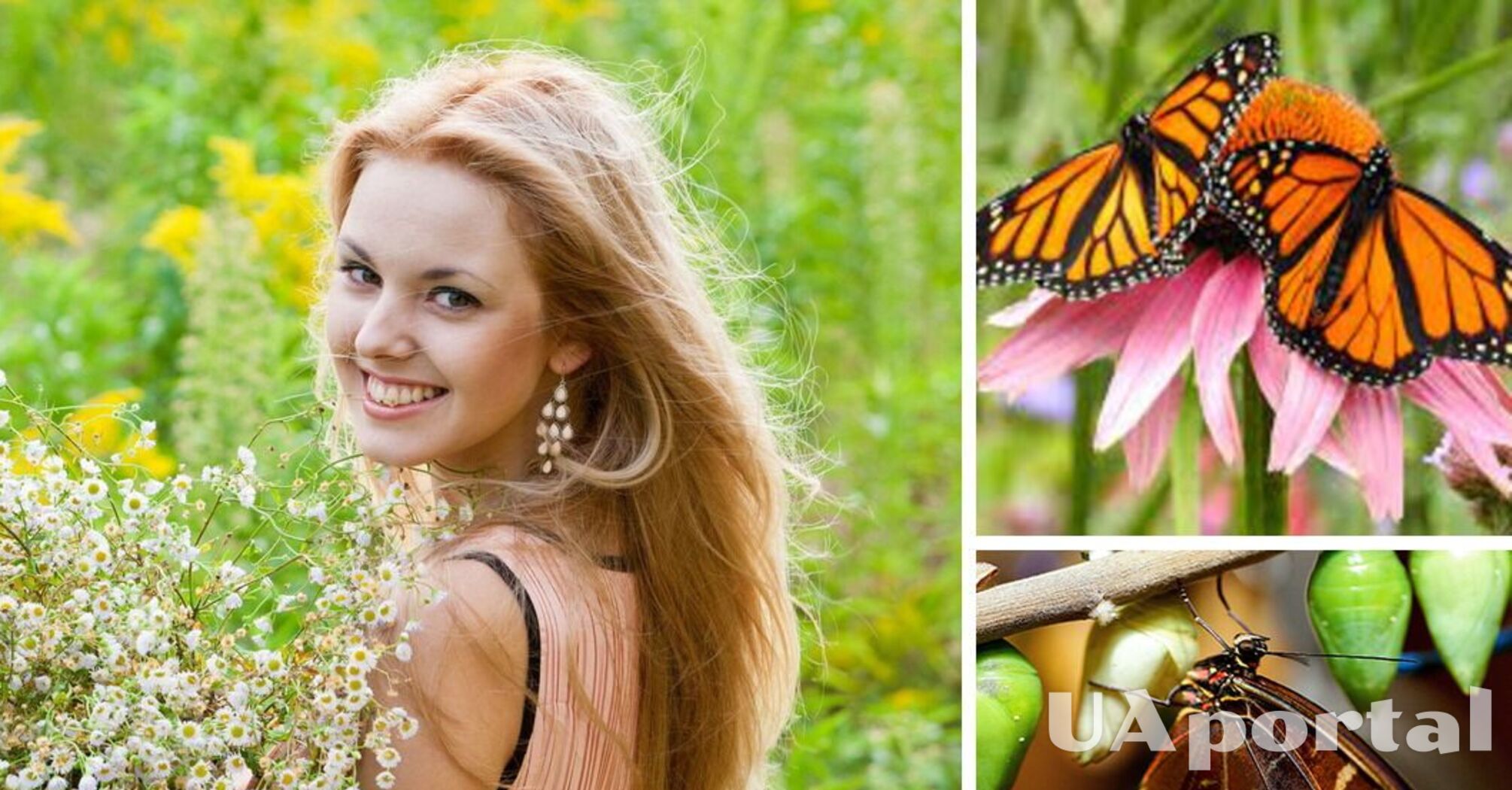 Жіночий психологічний тест: виберіть метелика на картинці – і дізнайтесь про себе більше