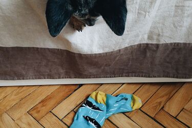 Why you shouldn't throw away socks without a pair