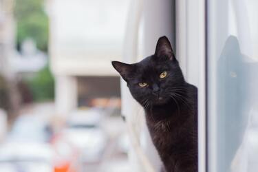 Популярні стереотипи, які назавжди залишаться у пам'яті.