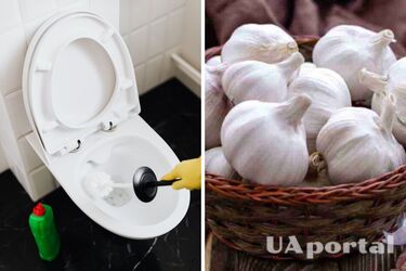 Jak czyścić toaletę czosnkiem - jak zabić bakterie w toalecie