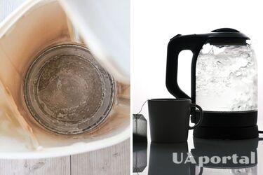 An expert told us how to easily clean a kettle from limescale without aggressive chemicals
