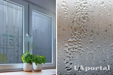 Як позбавитись від конденсату на вікнах - що робити якщо потіють пластикові вікна