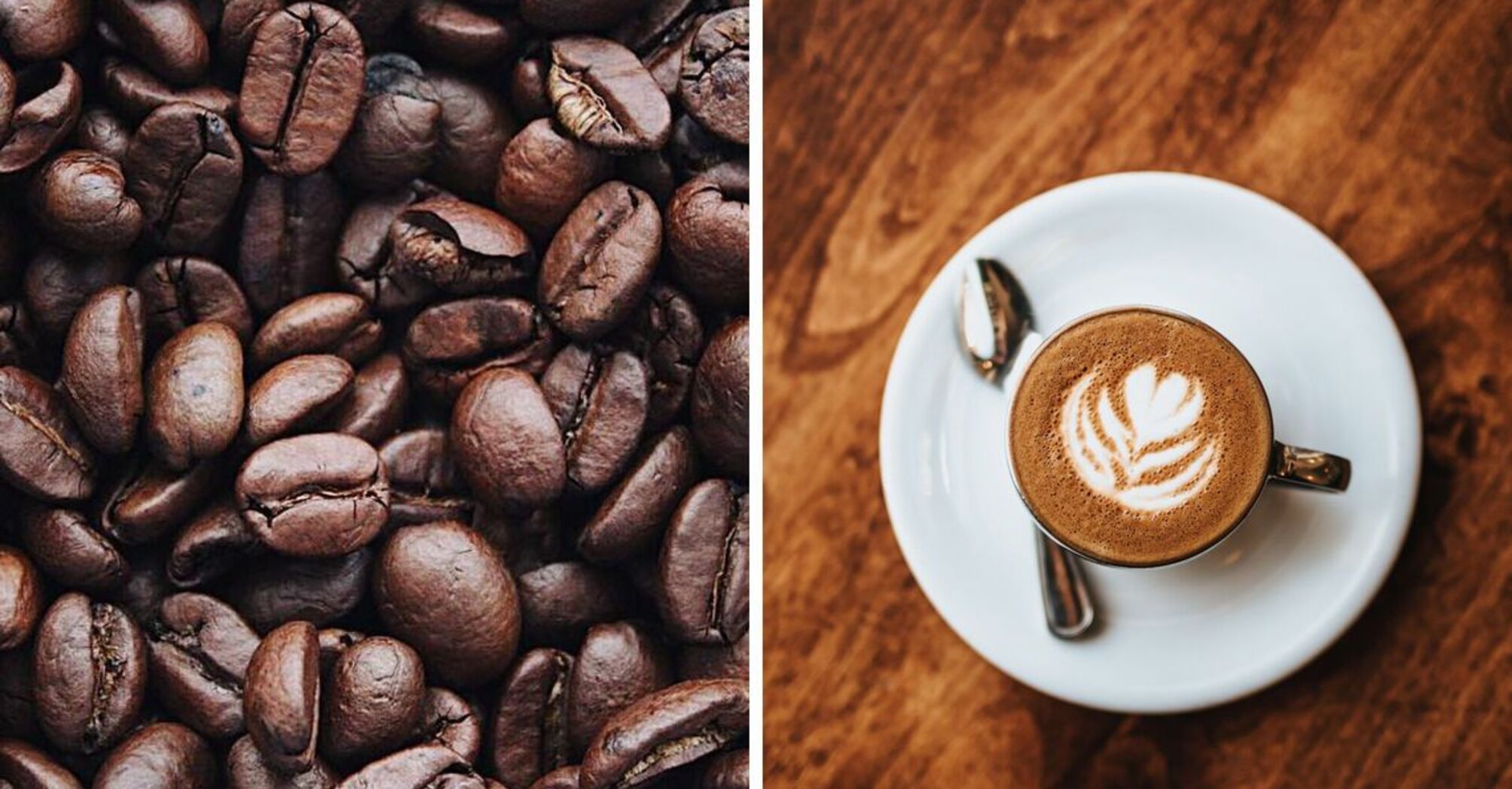  Як обрати розчинну каву та в зернах: корисні поради