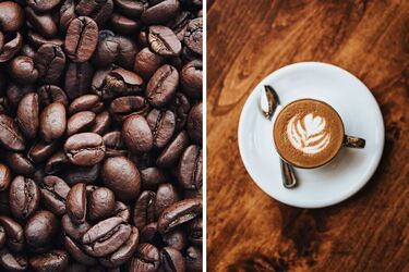 Как выбрать растворимый кофе и в зернах: полезные советы