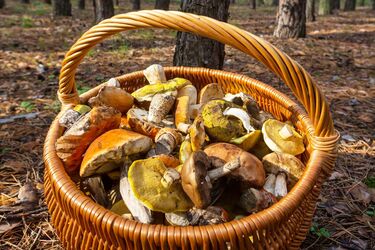 Practical tips for clean hands