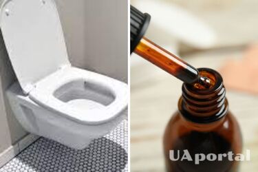 Shine like new: how to clean the toilet with iodine