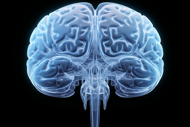 Mysterious features of the human brain: 5 interesting facts