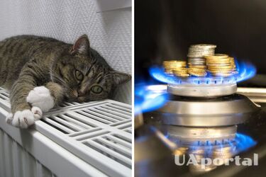 Что сделать с газовым котлом, чтобы экономить на потреблении газа