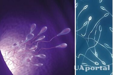 Scientists have discovered that sperm in motion violates one of the fundamental laws of physics