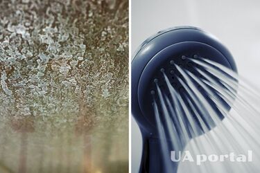 Хозяйки объяснили, как легко избавиться от налета на кабине душа без агрессивной химии