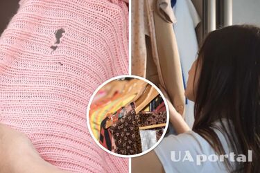 Чому з'являється міль у шафі та як позбутися молі вдома